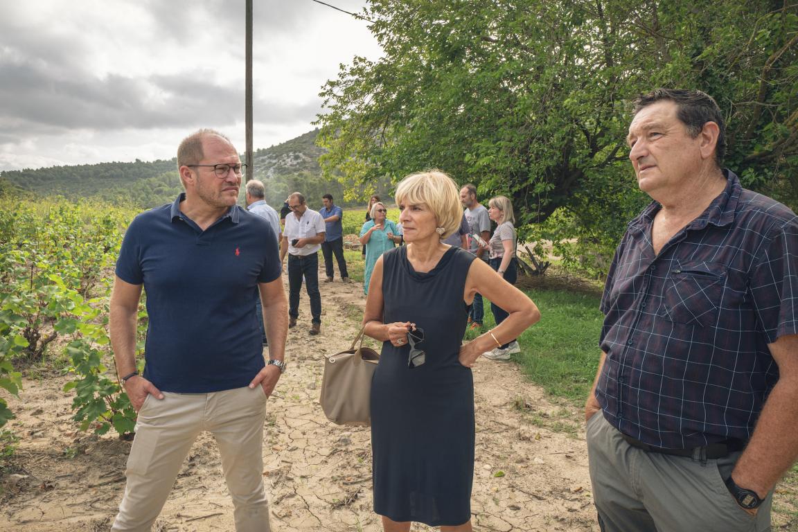 Viticulture audoise envisager, ensemble, l'adaptation au changement